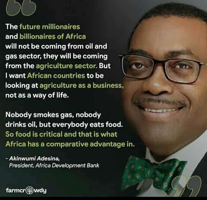 Monumentalfarm's tweet photo. AGRIPRENEUR is the next well of fortune in Africa. https://t.co/Em4XnQiafY