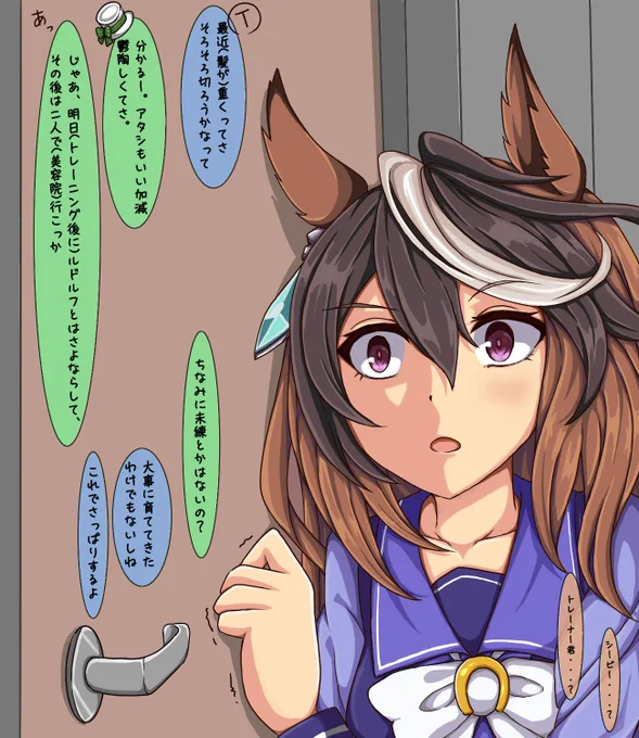 早とちり
#ウマ娘
#ウマ娘プリティーダービー
#シンボリルドルフ 
