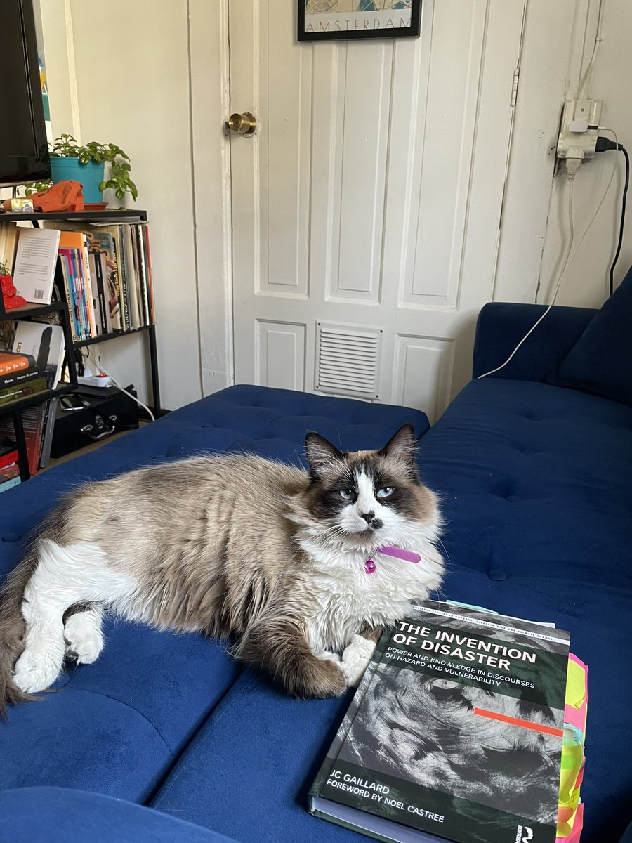 ricardosefes's tweet photo. Final keynote by @jcgaillard_uoa as part of the #needs2022 conference - including a shout out to the famous photo of my cat Cometa with his book https://t.co/GAzT7LBpqu
