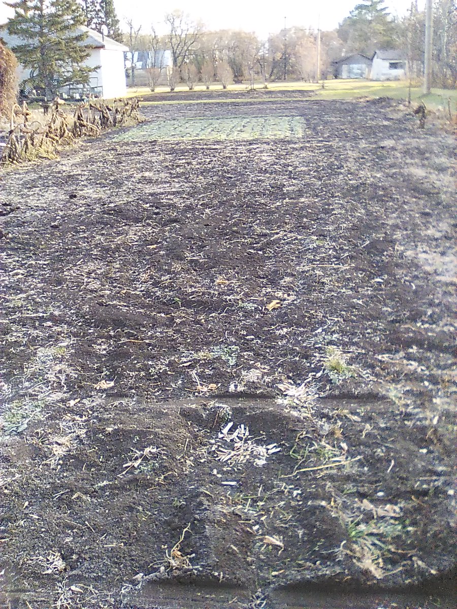 Wally Satzewich tweet media