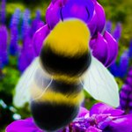 Photo by LisaCainesAuthor84 (@LAuthor84)