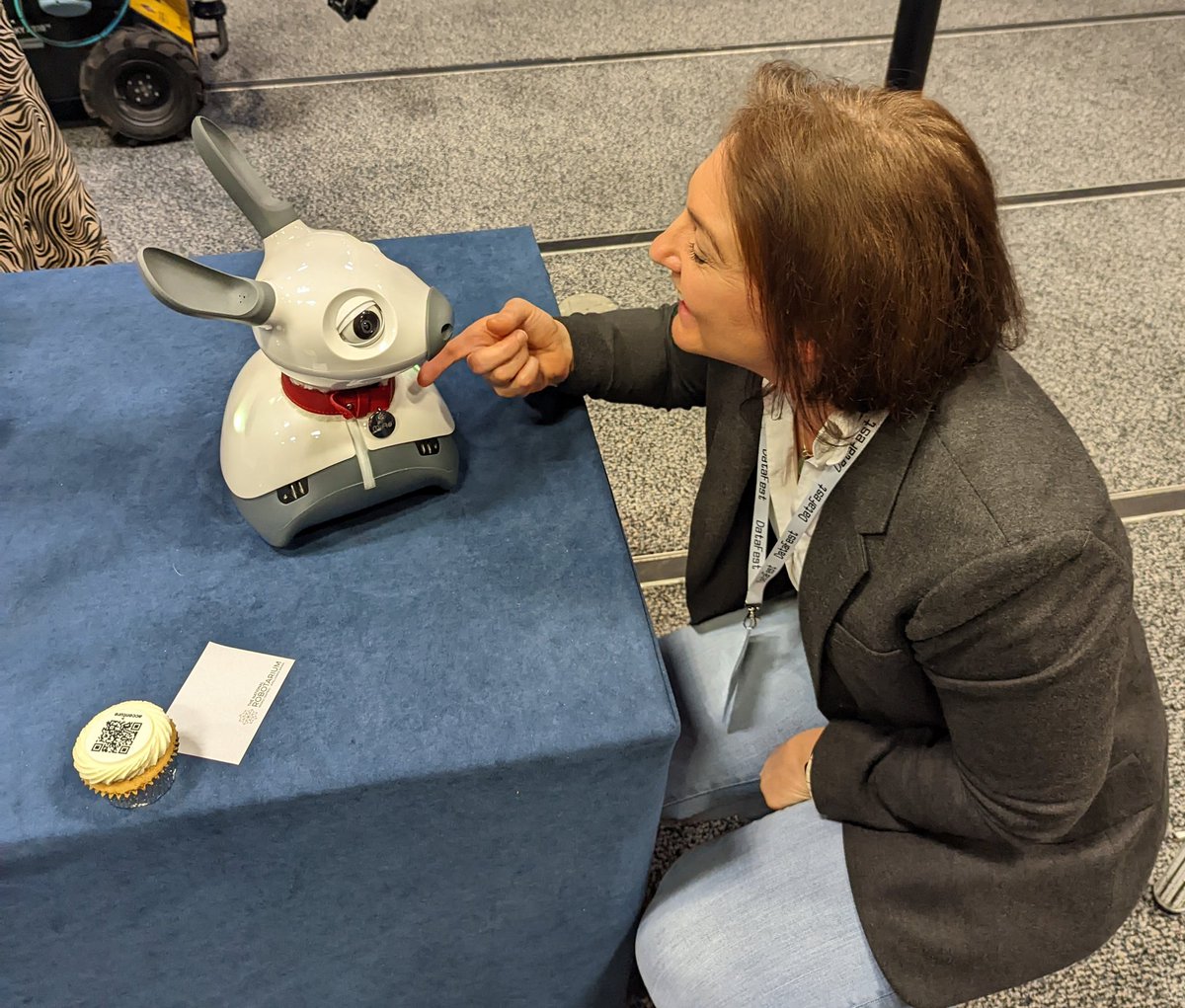 MsSMcAlpine's tweet photo. Day one of the @DataFest_ #DataSummit2022 and I have met a replacement to the cats with @NRobotarium 😍 https://t.co/ujdTktKzeC