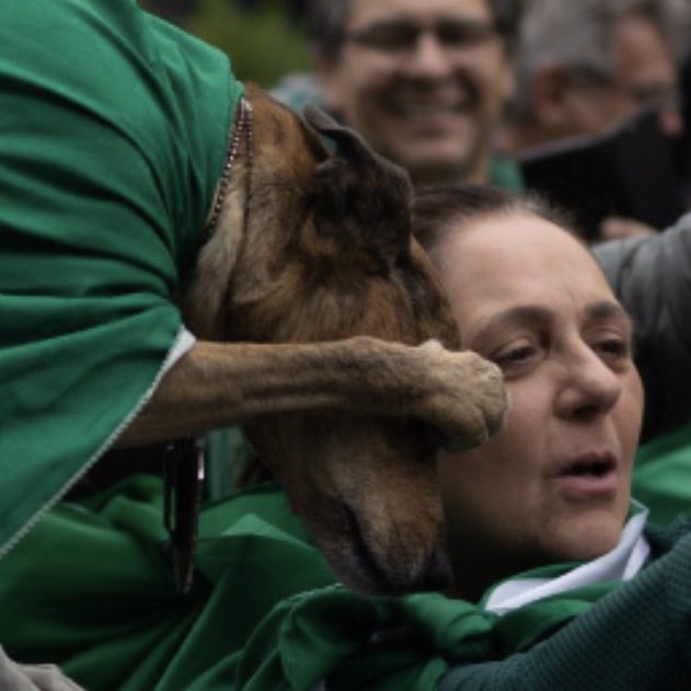 O doguinho se escondendo pra não ser visto com os minions 🗣️