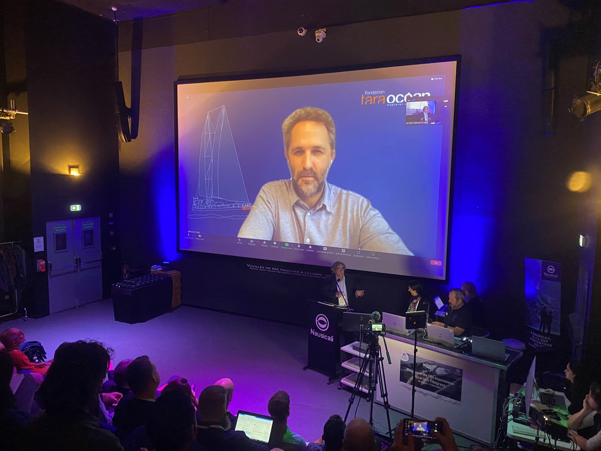 Nausicaá tweet media