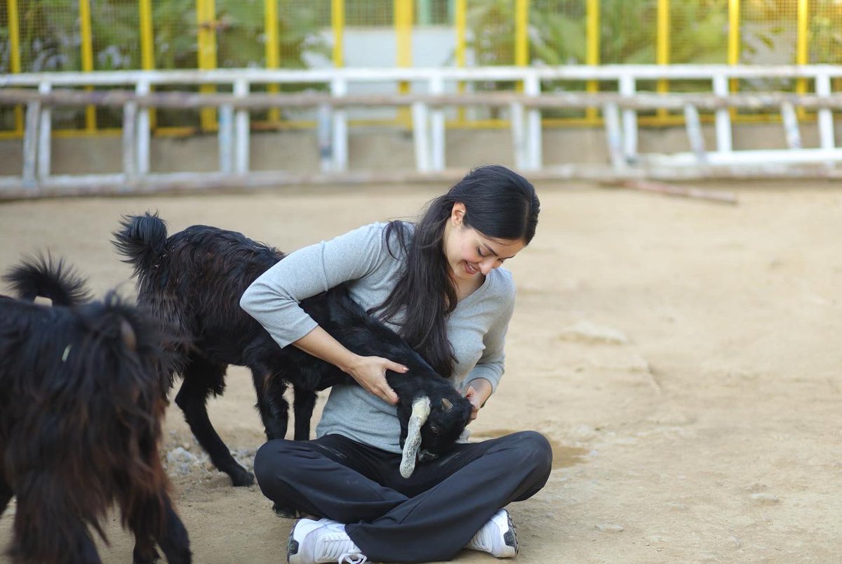 a_chundrigar's tweet image. My day job involves hugging rehabilitated baby donkeys that have endured severe abuse #animalrescue
