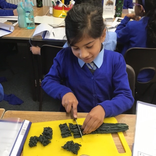 StMarysCPSch's tweet photo. Year 3 combined their history studies and food technology skills, in creating their very own stew. They researched the food eaten during the Mesolithic Era and prepared and chopped the ingredients to go into their stew. The children loved tasting and evaluating their creations! https://t.co/zQWqiUainr