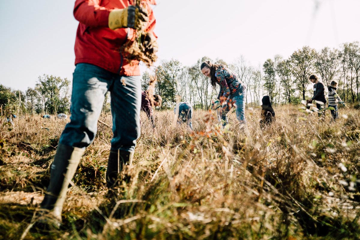 LandschErfgoed's tweet image. Help jij zaterdag tijdens de @NatuurwerkdagNL op Landgoed Prattenburg in @Gemeente_Rhenen mee ongewenste begroeiing te verwijderen? Je werkt hiermee aan een klimaatbestendiger bos. Meld je aan: buff.ly/3DN895a