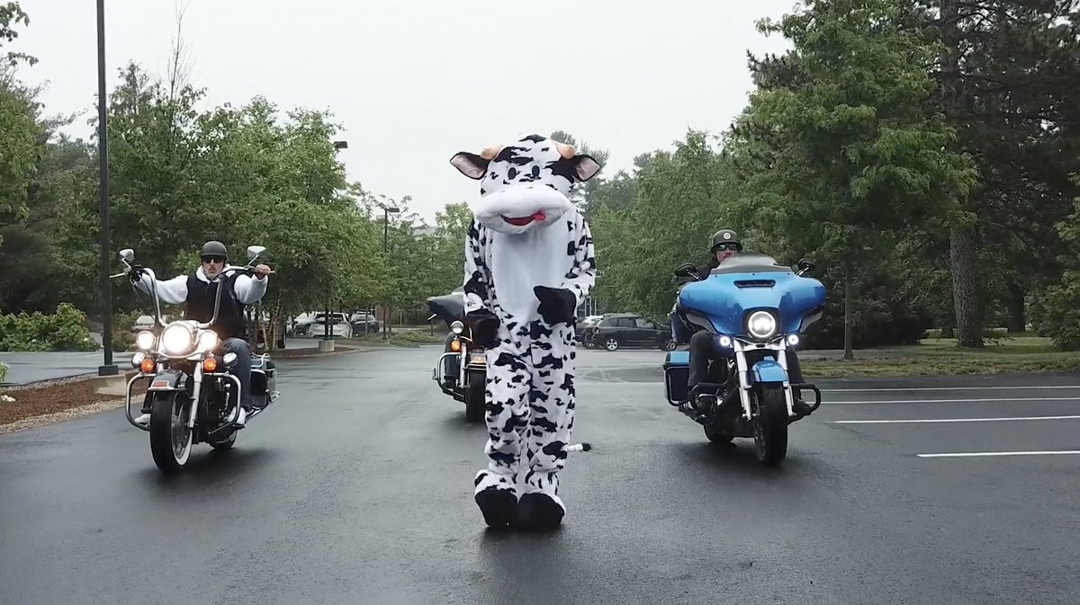 laddawn's tweet photo. Hold onto your handlebars. Our new vid hits the site at 11 a.m. EST today. Prepare for an "udder" delight. -----> https://t.co/HkzUSSrPJ7 https://t.co/JmoaibCQJ8