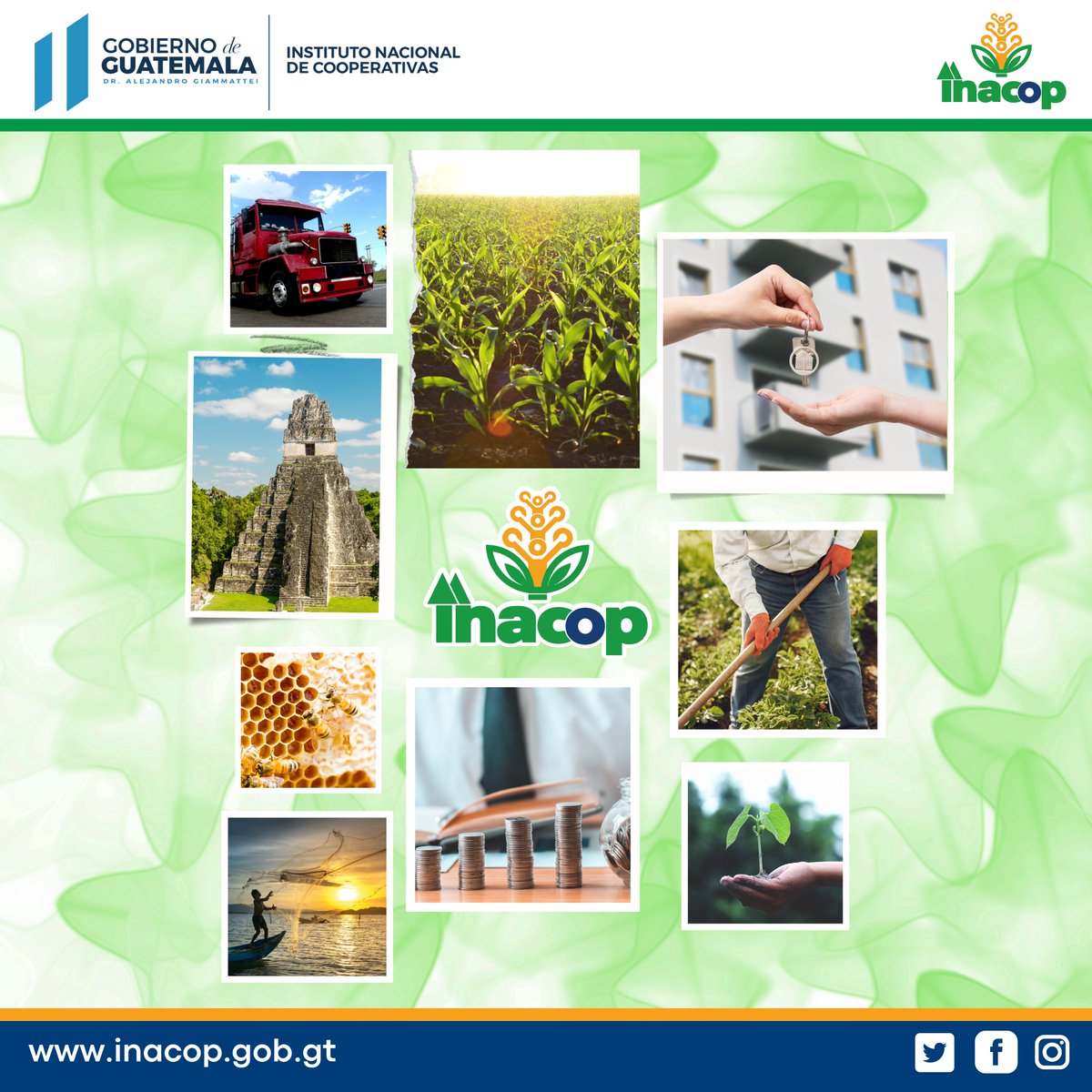 inacop_gt's tweet photo. Fomentando el Cooperativismo como un modelo para el impulso económico del país. 🌱
💻Visita: https://t.co/rqdcilb0Eo

#inacop #Guatemala #cooperativas https://t.co/XAQBp88t1o
