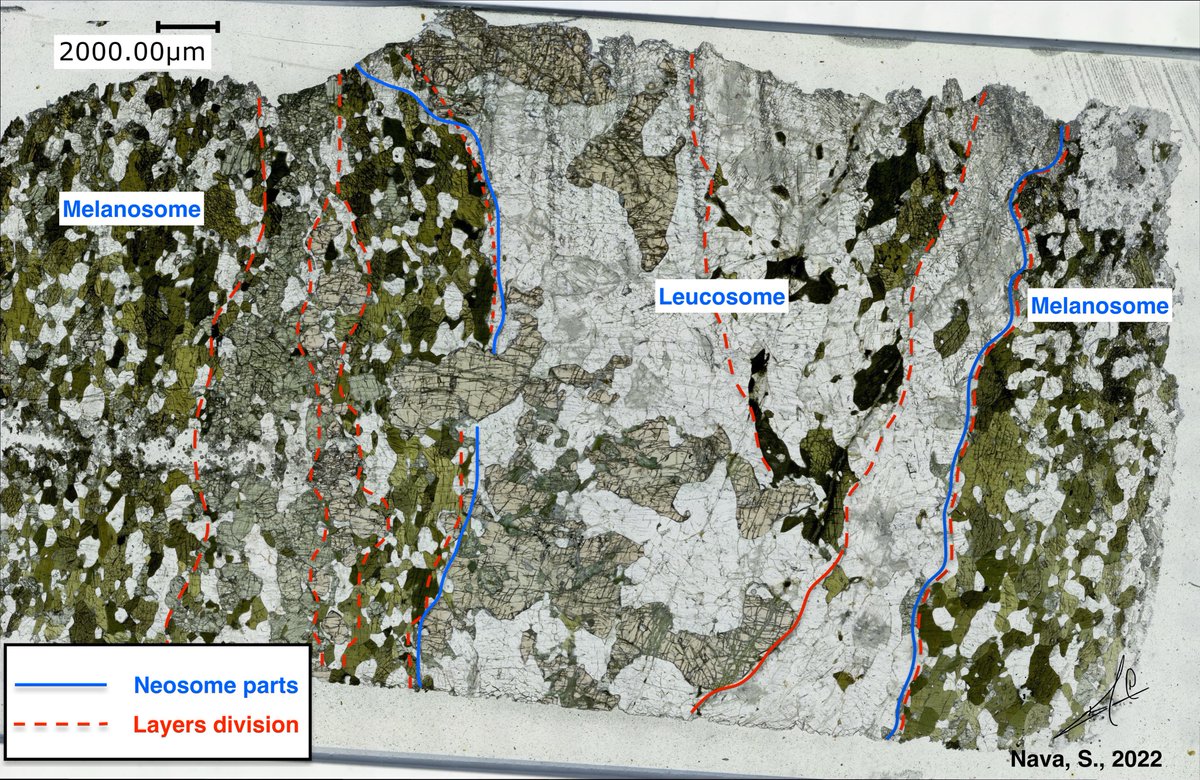 Sebastianndlp's tweet photo. II. The nomenclature of the different parts of a migmatite:  Neosome: is the newly formed fraction either from partial melting or metamorphic reactions, within the neosome you may find the Leucosome ( Quartz-Feldspar) and the Melanosome(Fe-Mg minerals).  
#migmatite #Geology https://t.co/z59VzxZLoD