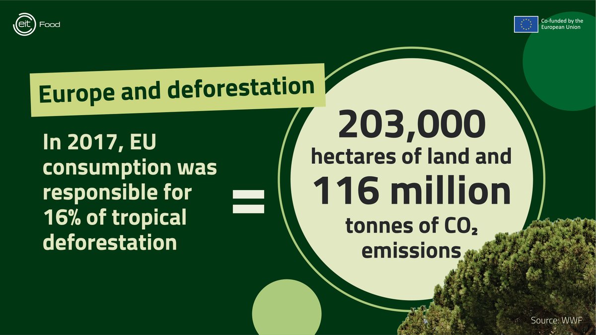 Approximately 10 million hectares of forest🌲 are cut down each year - primarily for agricultural purposes or urban development, says <a href="/FAO/">Food and Agriculture Organization</a>.  

The #FoodSystem has a responsibility to limit negative impacts on natural landscapes. Discover more 👉 bit.ly/3USeIdh