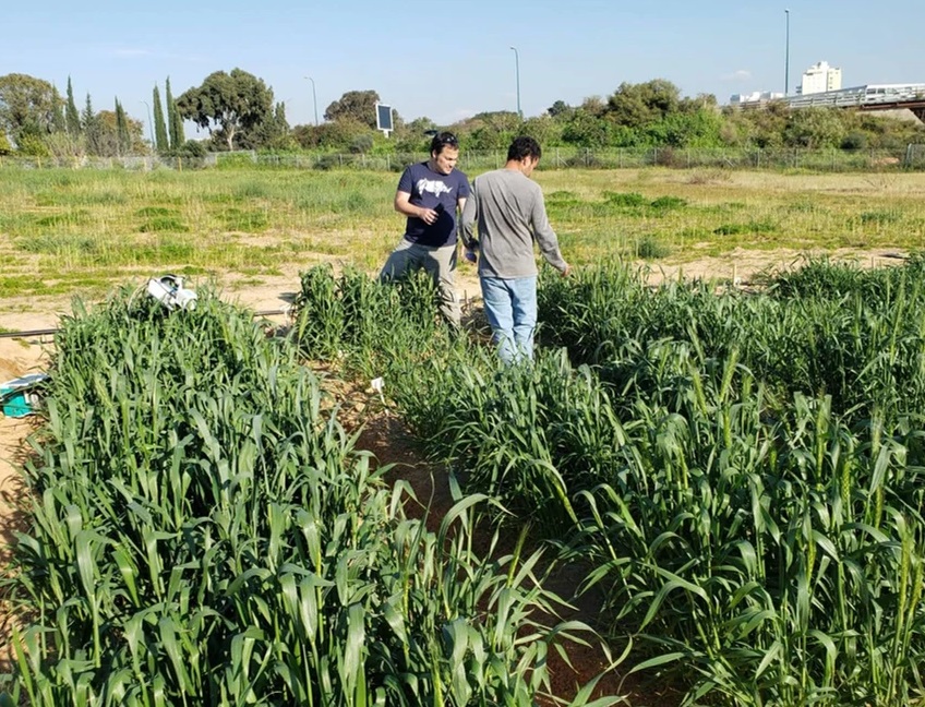 Hebrew U - Europe tweet media