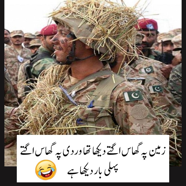 ISPRcomic's tweet photo. فوجی وردی اور گھاس🤣
#PakArmy #ISPR #DGISPR 
#ImranKhan
#عمران_خان_ہماری_ریڈ_لاین_ہے
#firing
#قاتل_کنٹینر
#bajwa_traitor https://t.co/wr7FGerXMI