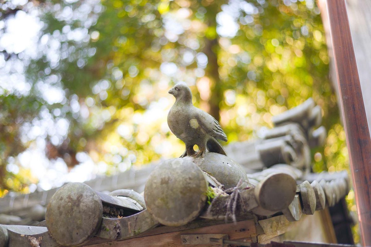 苔むした神社なんて、最高じゃないですか