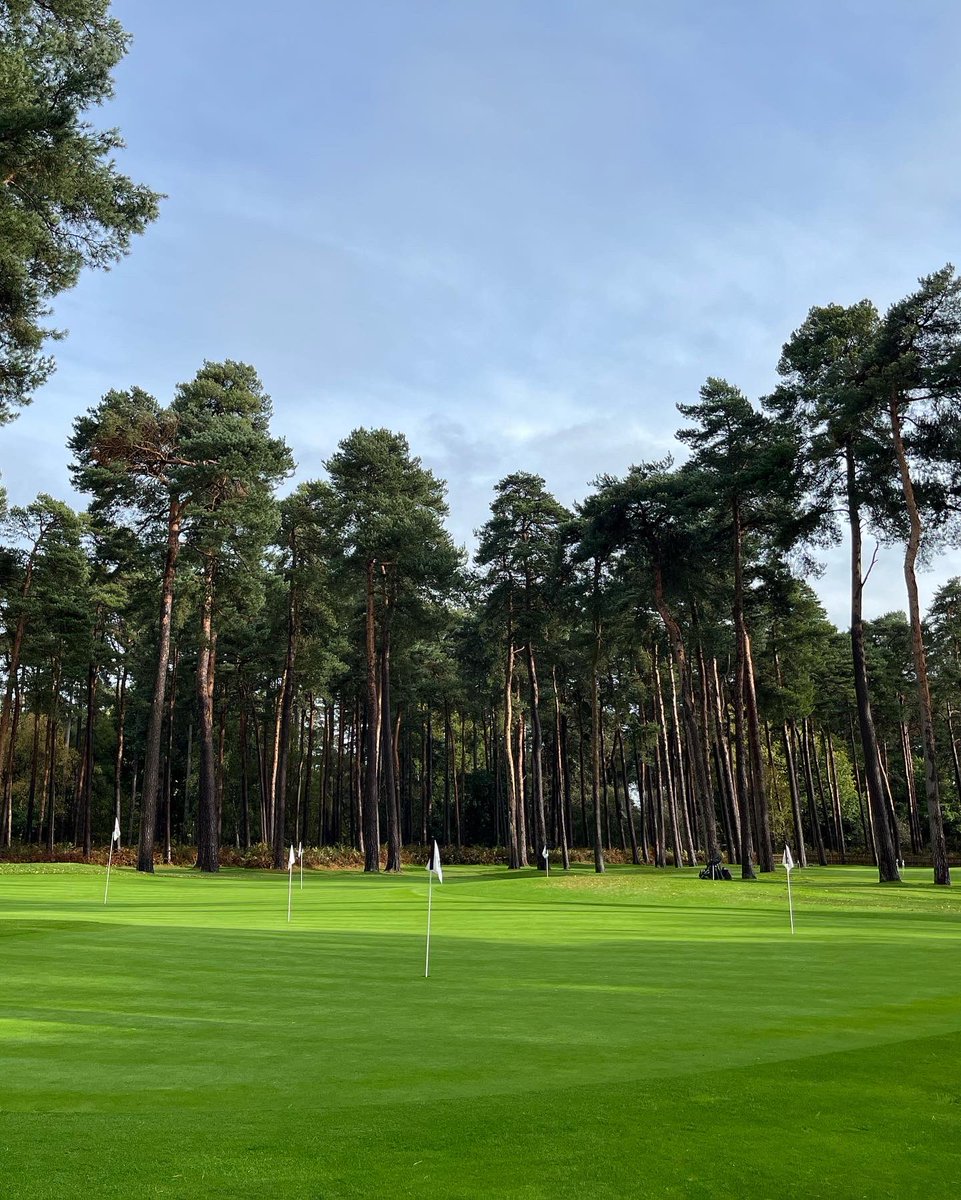 pgajimmer's tweet photo. Fab few hours working on the short game with @dangrievegolf @WoburnGC - can’t wait to miss some greens 😜⛳️ #left #pivotpoint #levelshoulders #connection #long #releaseone #releasetwo #releasethree #decelerate https://t.co/DmOMUhhVlG