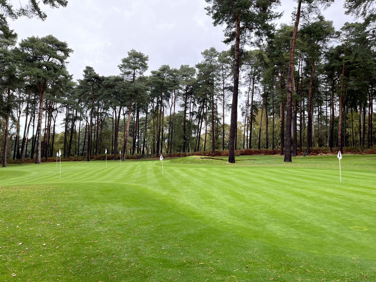 pgajimmer's tweet photo. Fab few hours working on the short game with @dangrievegolf @WoburnGC - can’t wait to miss some greens 😜⛳️ #left #pivotpoint #levelshoulders #connection #long #releaseone #releasetwo #releasethree #decelerate https://t.co/DmOMUhhVlG