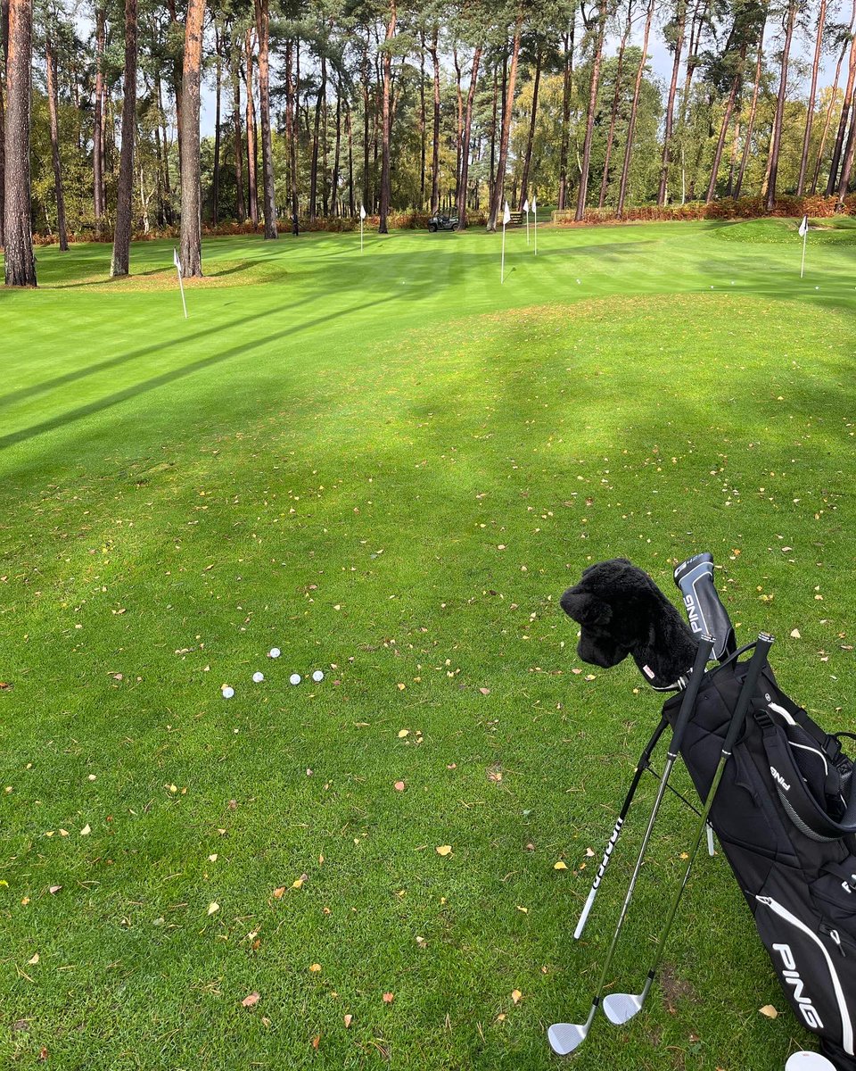 pgajimmer's tweet photo. Fab few hours working on the short game with @dangrievegolf @WoburnGC - can’t wait to miss some greens 😜⛳️ #left #pivotpoint #levelshoulders #connection #long #releaseone #releasetwo #releasethree #decelerate https://t.co/DmOMUhhVlG
