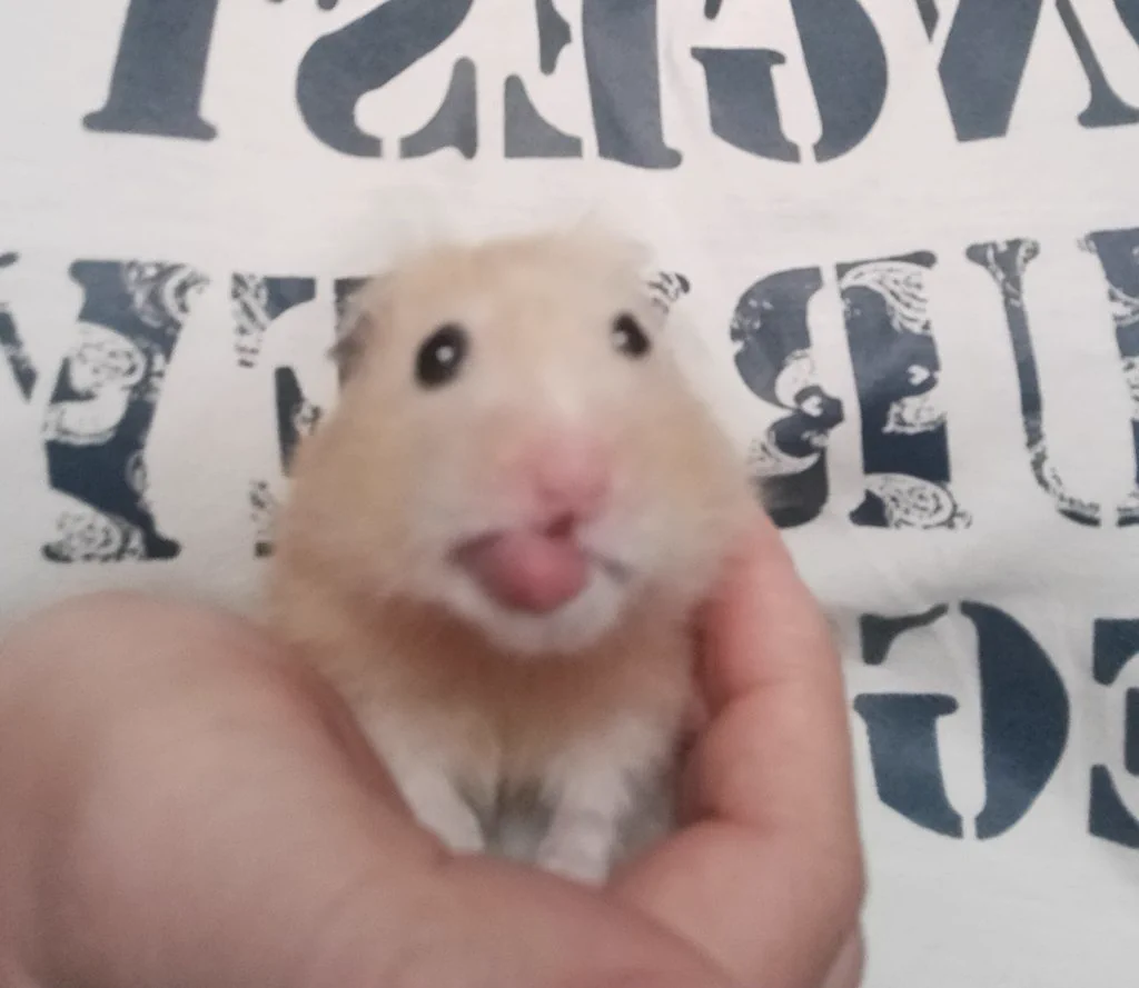 @KinokinoTwins 可愛いですよ❤ 