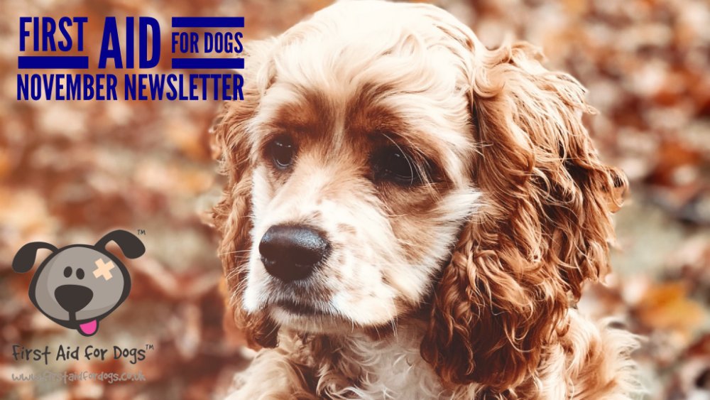 🐕The Bow Wow: latest from First Aid for Dogs: Nov 2022

🎉Zoom &amp; face-to-face courses now booking! online, #Brighton #Angmering
🐛Lungworm: prevention &amp; treatment
🐩How to restrain a pet in need
⚡️Learn First Aid for Dogs online

mailchi.mp/926412715f1f/n…