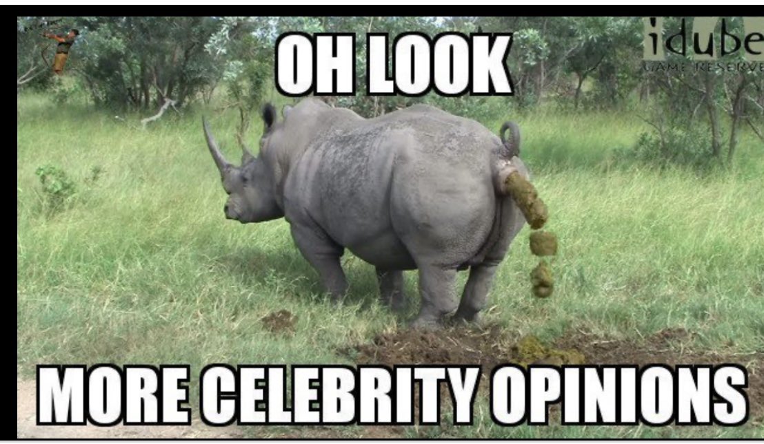 William tweet media