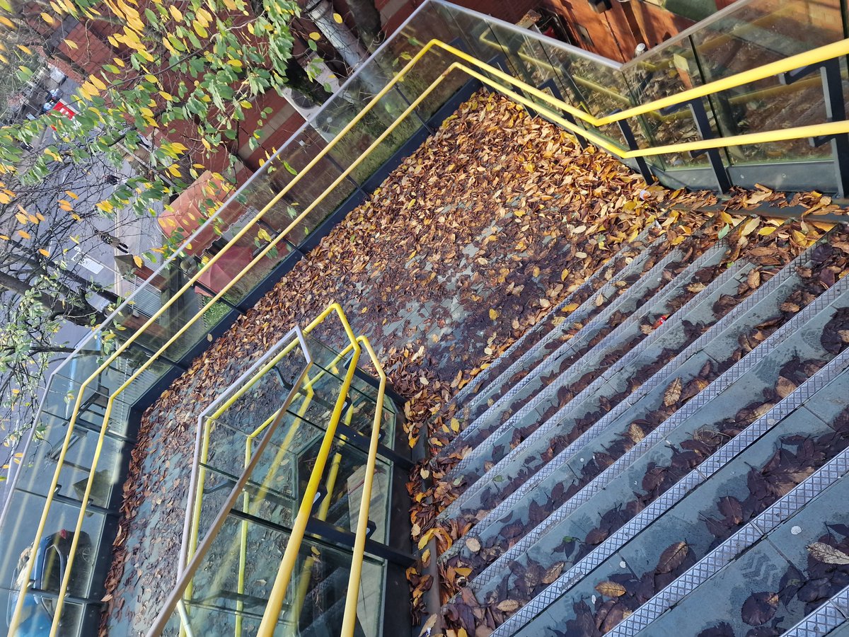 Not sure who is responsible for these steps at #Deansgate but thought I'd flag the leaf mulch up <a href="/northernassist/">NORTHERN 🚆</a> <a href="/OfficialTfGM/">Bee Network</a>