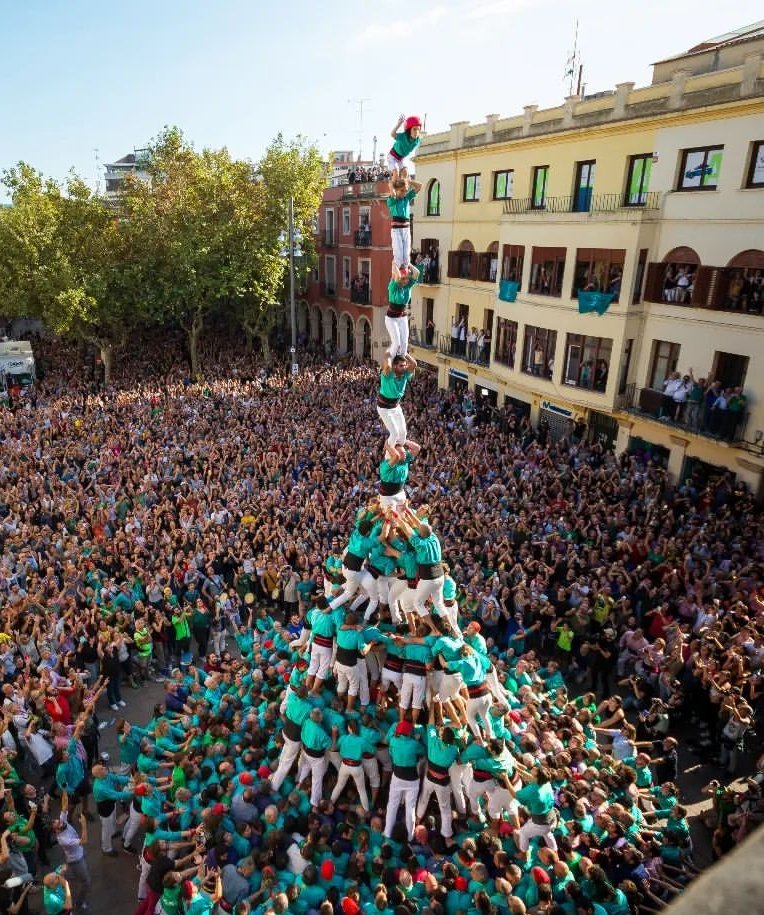 Francesc Bou tweet media