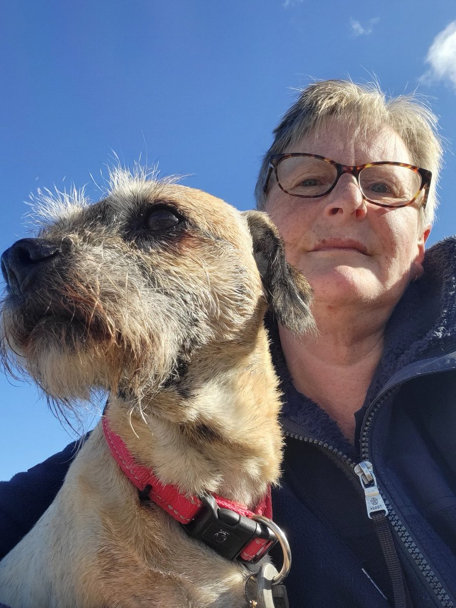 handsnpaws64's tweet photo. Josh and Rosie are pensioners now but still young at heart x https://t.co/M75JZlmzKL