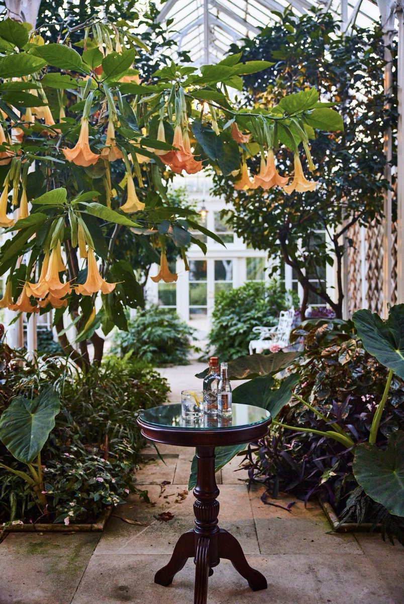 Ameer Kotecha (@ameer_kotecha) on Twitter photo Next up for International #TradeWeek is this gin and tonic photographed in the Orangery of <a href="/WiltonPark/">Wilton Park</a>. A perfect combination of a small-scale producer <a href="/SlakeSpirits/">Slake</a> based locally, and one of the country’s most successful drink exports of recent years, <a href="/FeverTreeMixers/">Fever-Tree Mixers</a> Next up for International #TradeWeek is this gin and tonic photographed in the Orangery of <a href="/WiltonPark/">Wilton Park</a>. A perfect combination of a small-scale producer <a href="/SlakeSpirits/">Slake</a> based locally, and one of the country’s most successful drink exports of recent years, <a href="/FeverTreeMixers/">Fever-Tree Mixers</a>