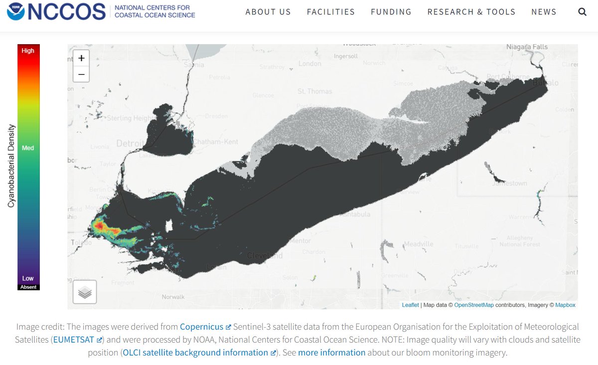 The bloom that won't go away #LakeErie #GreatLakes 
coastalscience.noaa.gov/research/stres…