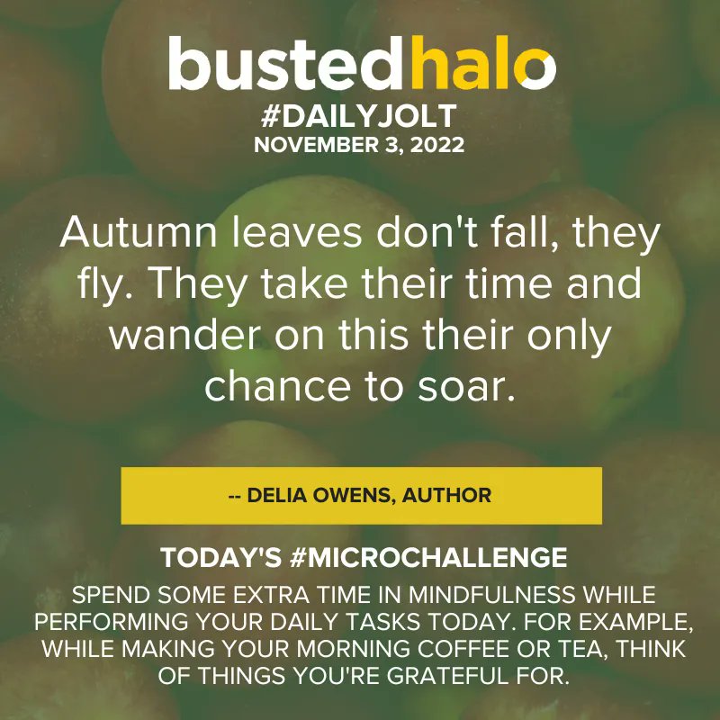 Today's #DailyJolt comes from author #DeliaOwens.