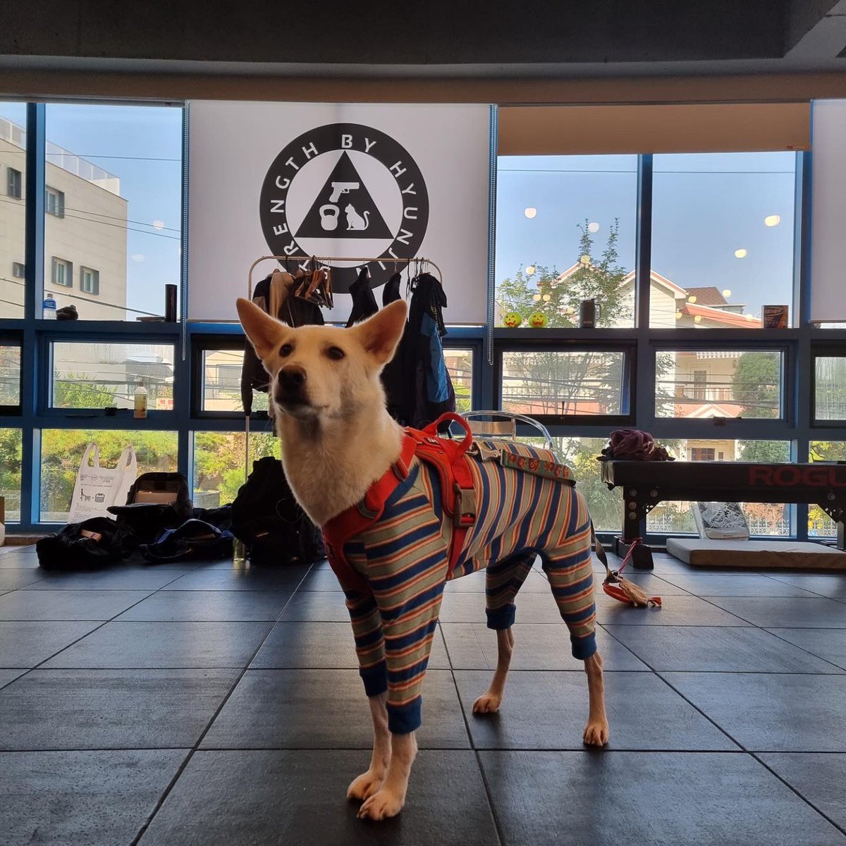 <a href="/jindofriendly/">진도프렌들리</a>  에서 보내주신 스티커를 붙였습니다.  모두에게 다정한 공간이 될 수 있도록 노력하는 파워존이 되겠습니다