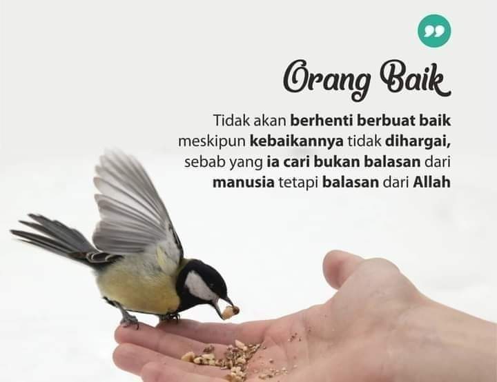 Filsafat_Muslim's tweet photo. https://t.co/pCrnlhkw2I