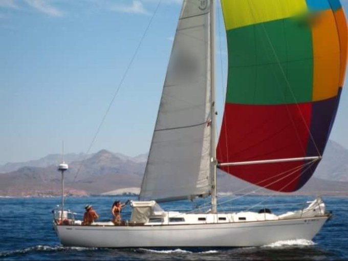 sail_boats