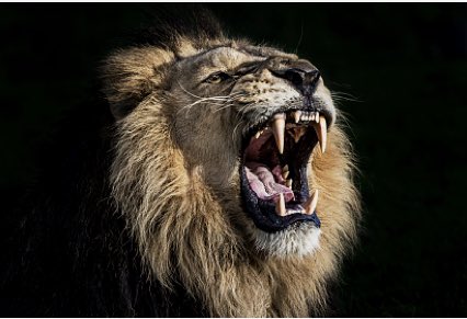 Buenos días campeones!!