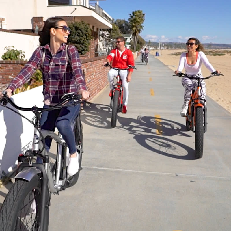 E Lux Electric Bikes tweet media