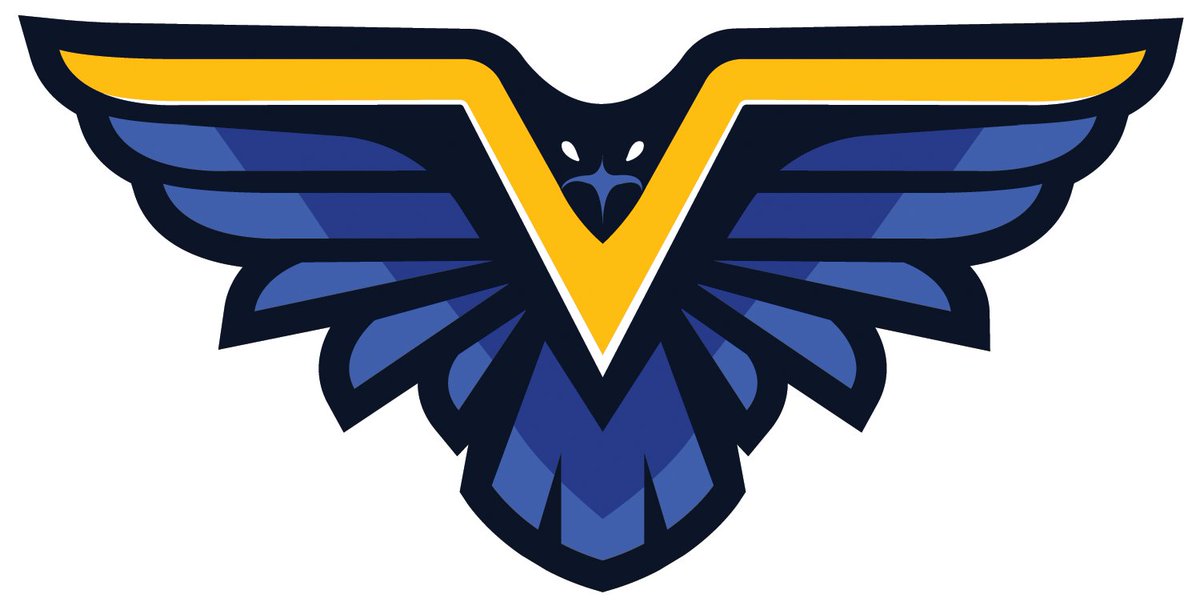 Vermilion Ironhawks MBB tweet media