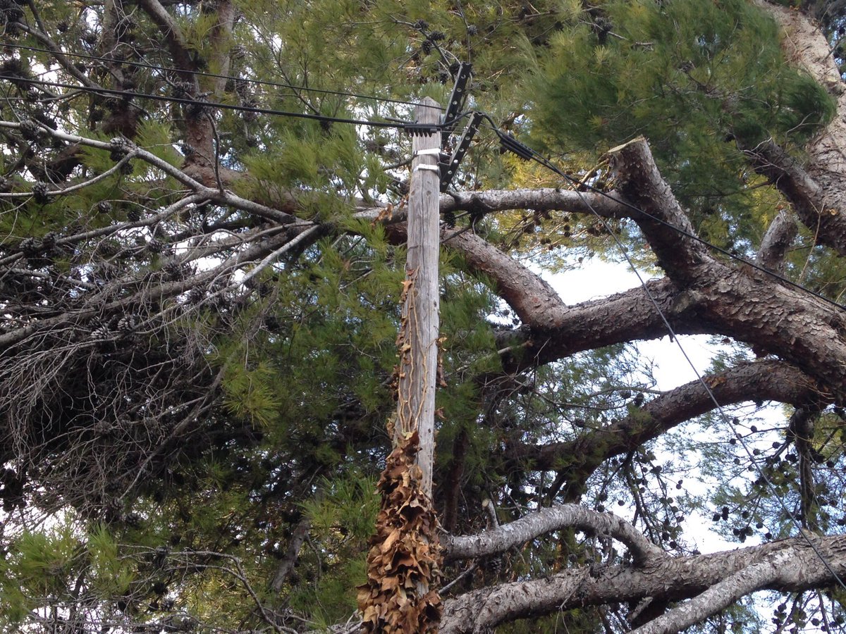 FranckLavagna's tweet photo. Après l’ épisode orageux si vous remarquez : 
🛠️Poteaux cassés, penchés, câbles arrachés, armoires ouvertes ou détériorées.

N'hésitez pas à déclarer l'incident sur notre site dédié👇
https://t.co/1xuyej0SD6

&amp; restez prudents⚠️ @prefet06 https://t.co/1ad5c64Iih