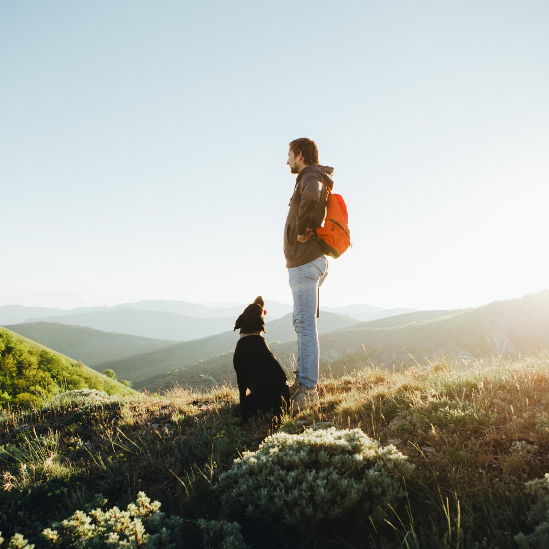 WolfeTweets's tweet photo. With the year quickly coming to a close, now is a great time to add Wellness testing to your employee benefits. With the addition of Wellness testing, your business can emphasize the importance of your employee's health. https://t.co/a2M0kSGu6n