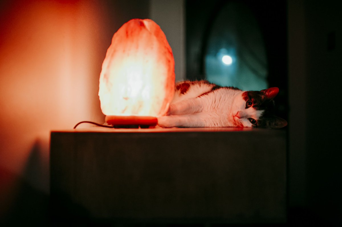 LarsenElgan's tweet photo. A Himalayan salt lamp makes the perfect bedside lamp as the light is not too bright.

Prices start from £14.99

https://t.co/BSQuX4xeje https://t.co/YEUGqFHEWR