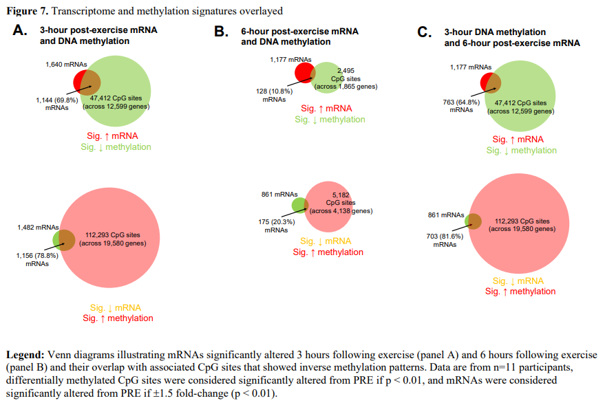 Dr. Myohead (@drmyohead) on Twitter photo New Preprint
Skeletal muscle DNA methylation and mRNA responses to a bout of higher versus lower load resistance exercise in previously trained men
From @caseysexton1 <a href="/godwinjs71/">Joshua Godwin</a> <a href="/ShelbyOsburn8/">Shelby Osburn, PhD</a> <a href="/ZiegenfussTim/">Tim Ziegenfuss, Ph.D.</a> <a href="/DrAdamPSharples/">Professor Adam Sharples</a> <a href="/DrMikeRoberts/">Mike Roberts</a>
doi.org/10.1101/2022.1… New Preprint
Skeletal muscle DNA methylation and mRNA responses to a bout of higher versus lower load resistance exercise in previously trained men
From @caseysexton1 <a href="/godwinjs71/">Joshua Godwin</a> <a href="/ShelbyOsburn8/">Shelby Osburn, PhD</a> <a href="/ZiegenfussTim/">Tim Ziegenfuss, Ph.D.</a> <a href="/DrAdamPSharples/">Professor Adam Sharples</a> <a href="/DrMikeRoberts/">Mike Roberts</a>
doi.org/10.1101/2022.1…