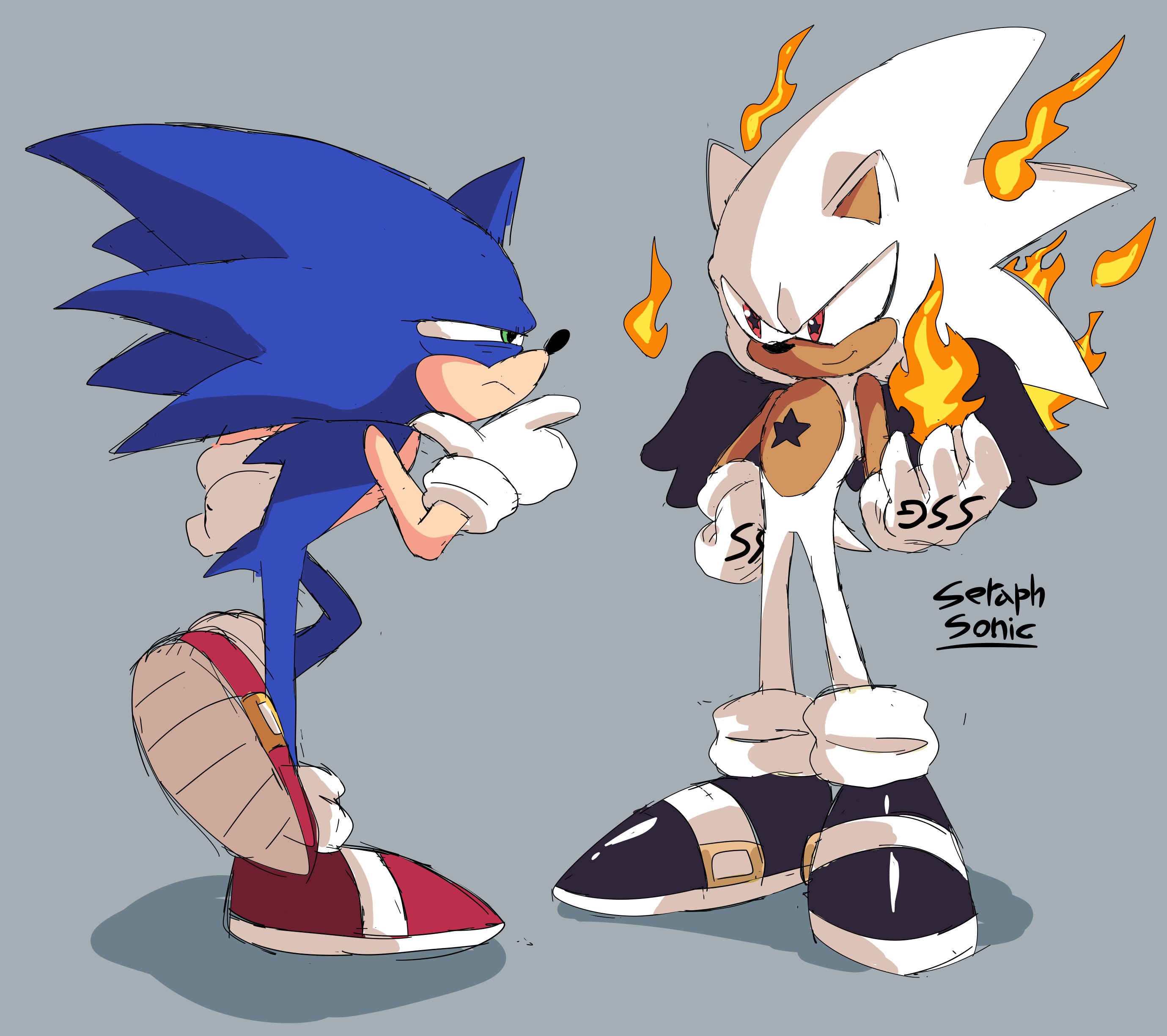 the end and supreme (sonic and 1 more) drawn by cyberlord1109