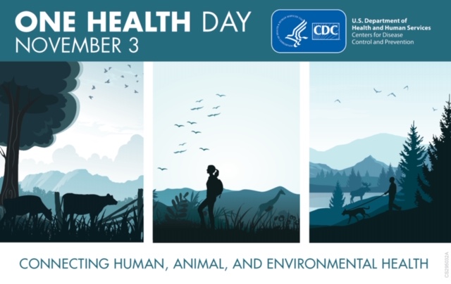 Tweet by AVMA (American Veterinary Medical Association)