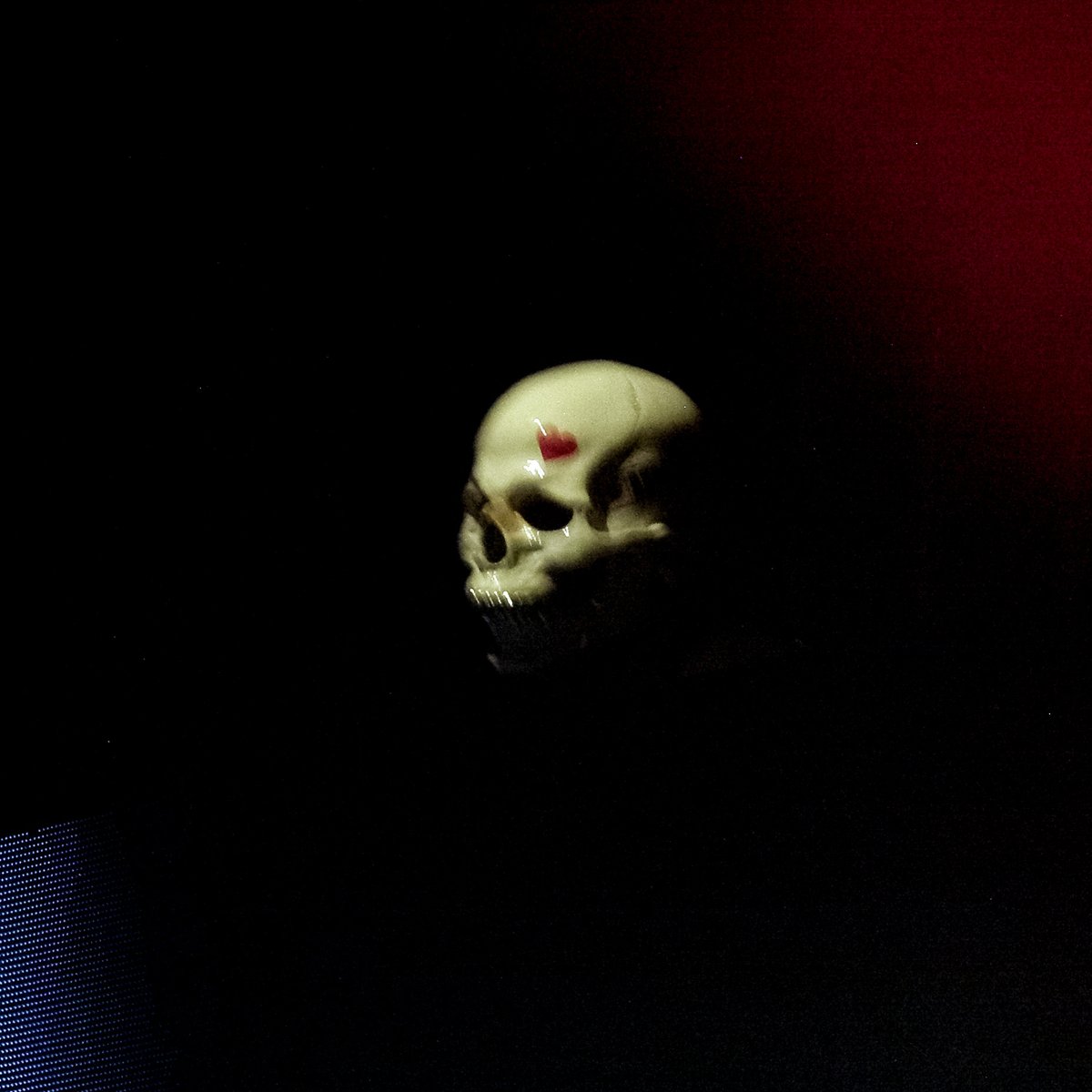 Ewan_Tal's tweet photo. @vladcauchemar au Paranormal Festival c'était une dinguerie quand même 📸📸 https://t.co/ncCUN60Ski