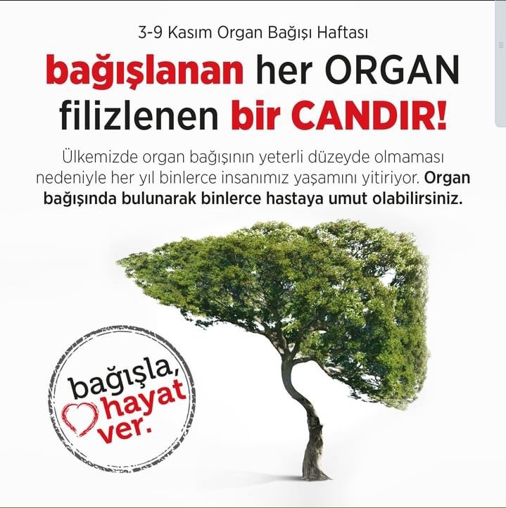 #organbagisihaftasi #organbağısıhayatkurtarır #organbagisi #OrganNakliHaftası #OrganBağışı