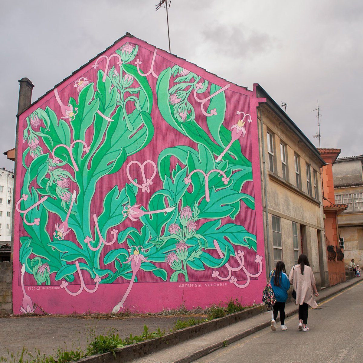 🎨Tres murais que están moi cerca para ver nun momentiño. Todos na contorna da rúa Barcelona:
1. "Home Carballo" de Nove Nö3l
2. "Mofa e Befa" de Yoseba MP
3. Mapa
4. "Artemisia Vugaris" de DOA