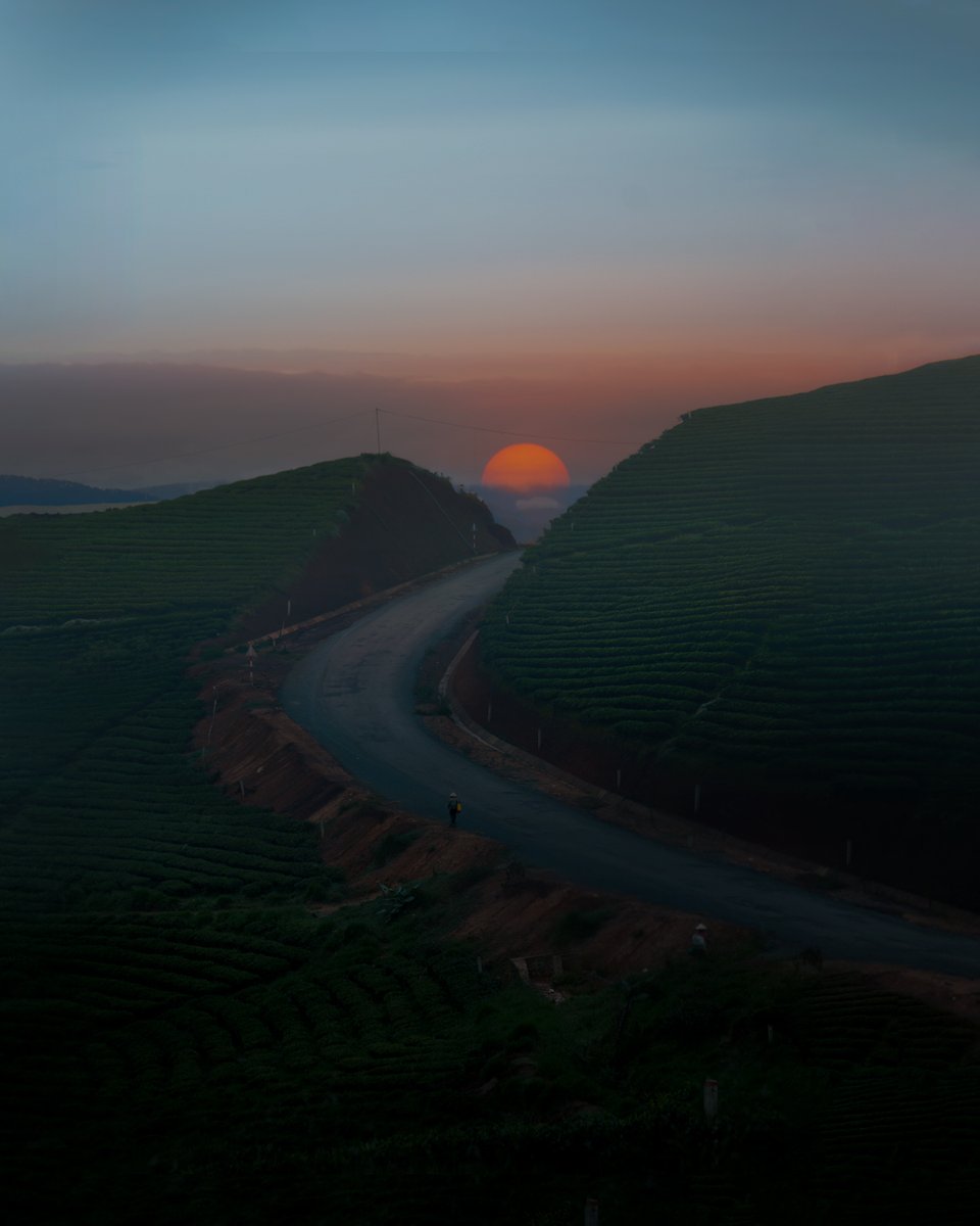 'the world feels otherworldly' - collection available on foundation