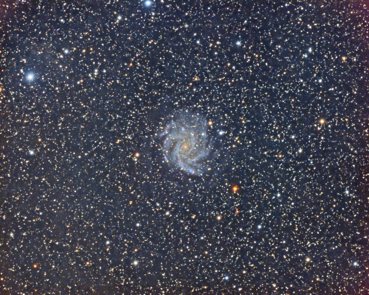 SteveDoody2's tweet photo. More time spent photographing the Fireworks galaxy during a brief clear spell on October 28th from my back garden. This is a luminance, red, green and blue channel combined result. I love to image these deep sky objects because they look so beautiful. https://t.co/IhcYWu3Qys