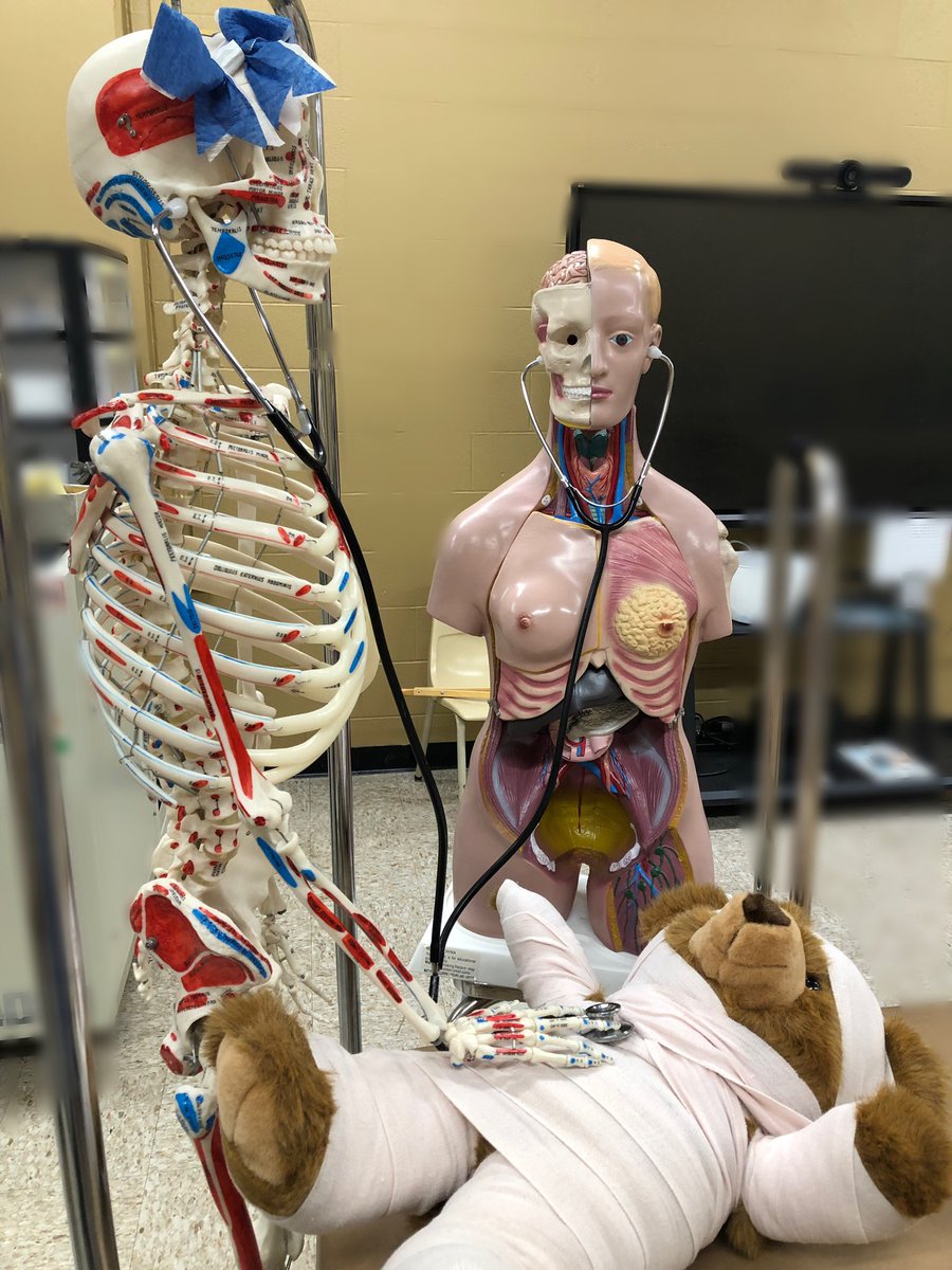 Take a lesson from these 3: it’s never too early to start #studying for #finals  Adventures of Skelly and Belly <a href="/TTC_ESU/">@TTC-ESU</a> <a href="/ESU_HPER/">HPER</a> @AT_EduCommunity <a href="/EmporiaStateLib/">ESU Lib/Archives</a>