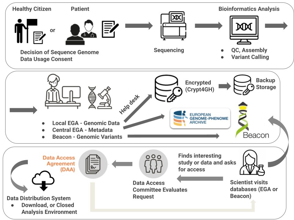 BioDataPT's tweet photo. #BioDataPT #ELIXIRPT has been contributing to the National Strategy for #GenomicMedicine since its inception. We are responsible for establishing the #infrastructure for #data storage, management and sharing.
👉https://t.co/BYWsPtwlxi
@UnivAveiro @istecnico @GDI_EUproject @irj_pt https://t.co/xY6v9mmcr5