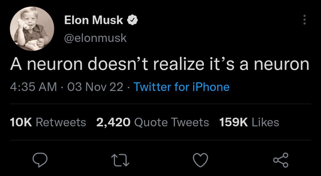 Flerbergerber's tweet photo. I can just see Elon staring at his phone all smug thinking he just wrote the most thought provoking tweet in twitter history https://t.co/zuzbKUgngV